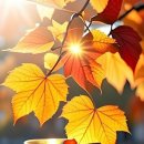 우리팜스 이미지