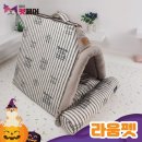라움펫 이미지