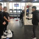 달서권투 이미지