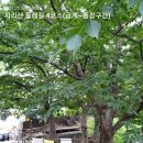 지리산 둘레길 4코스(금계~동강구간) 이미지