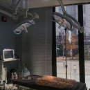 동편동물병원 이미지