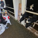 평화목장2 | 제주공항 근처 가볼만한 곳 아침미소목장 | 아기랑 목장 체험·무료입장·카페