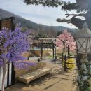 욜라뽕따 글램펜 이미지