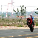 알리와 윌리 이미지