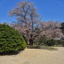팔영산국립공원 | 팔영산이 품은 천년고찰 능가사