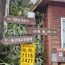 솔밭가든 Daum카페