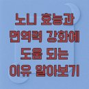 태평양식품 | 노니 효능과 면역력 강화에 도움 되는 이유 알아보기