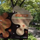 시청앞 가로수길 이미지