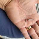 수신낚시터 이미지