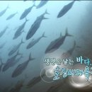 향유목장1 이미지