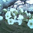 풍천농장 이미지