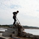 (주)태평소금