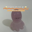 끌레르제이 - 천안시 서북구 | 7가지 컬러로 취향 저격! 제이끌레르 문어 괄사 두피 마사지 솔직 후기