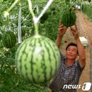 박병찬농장 이미지