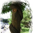 카톨릭병원 이미지