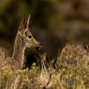 하늘환경 이미지