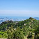 다목적광장2 이미지