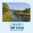 청평여울시장 상설동 화장실 | 아이와 함께한 자라섬 나들이 -겹벚꽃, 출렁다리, 캠핑장,꽃페스타 정보