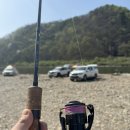 한덕리 | 홍천강 쏘가리 낚시 밴드 첫 정출 NS로드매니아