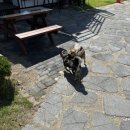 하회 휴펜션 이미지