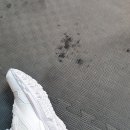 더 리얼 짐 이미지
