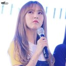 꽃살처럼