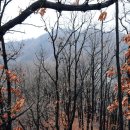 봄날(홍천, 공골 법흥사→매화산,까끈봉,며느리고개,530.2m,470.5m→여내골) 이미지