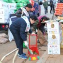 영일시장 이미지