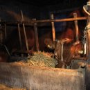 대구왕뽈찜 이미지