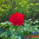 호주공인중개사사무소 이미지