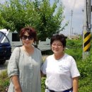 경주종합자동차정비 이미지