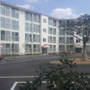 표선리-26 이미지