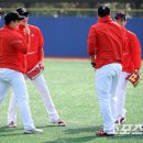 에스케이 밥심 스포츠조선