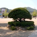 원남초등학교 이미지