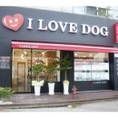 아이러브독 강아지분양 부천점 이미지