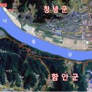 낙동강남지유채마을협동조합 이미지