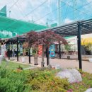 단골이됐으면좋겠당 | 포항 디저트카페 추천 폴인브레드