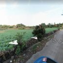 세림부동산공인중개사사무소 이미지