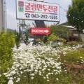 늘찬굴림만두