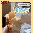 킹수산 | 대게 킹크랩 맛집추천 진해 남광수산 내돈내산 후기