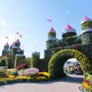 국화축제장 입구 이미지