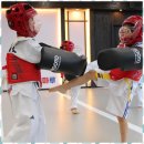 이지태권도 이미지