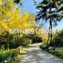 [공지] 용인 단풍 가볼만한곳 한택식물원 가을 여행