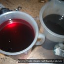 오토훼밀리카 이미지