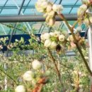 청남농장 이미지