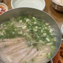 하니칼국수 서울숲점
