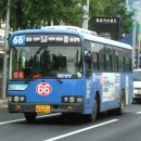 동아유지 이미지