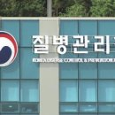 동탄이엠365의원 네이버블로그