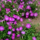 광복건설(주) 이미지