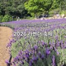 부산약국 | 부산 근교 양산 느티나무의사랑 카페 라벤더축제 주말 방문 피크닉 도시락 세트 후기 및 주차정보
